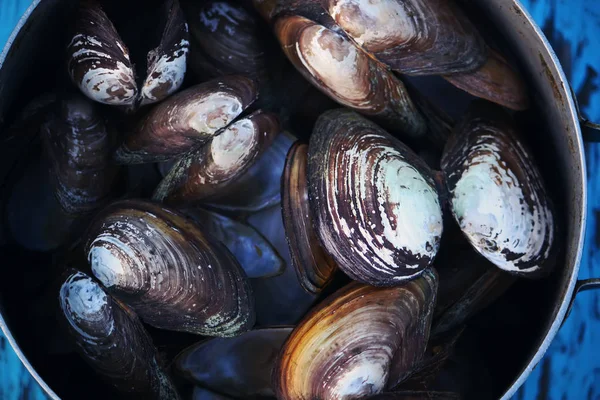 Mejillones Una Sartén Vieja Sobre Una Mesa Madera Aire Libre —  Fotos de Stock