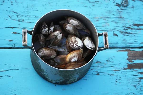 Mussels Old Pan Wooden Table Outdoors — 스톡 사진