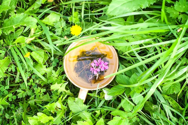 Natural Hierbas Con Hierbas Medicinales Flores Púrpuras Frescas Hojas Taza — Foto de Stock