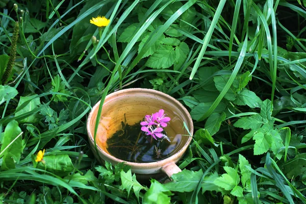 Natural Hierbas Con Hierbas Medicinales Flores Púrpuras Frescas Hojas Taza — Foto de Stock