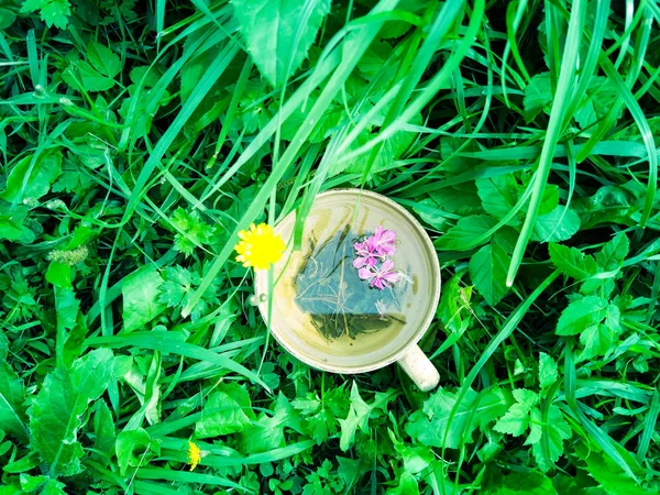 Natural Hierbas Con Hierbas Medicinales Flores Púrpuras Frescas Hojas Taza — Foto de Stock