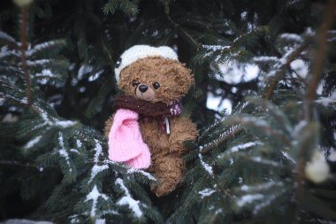 Komik kahverengi pelüş oyuncak ayı kışın açık havada karla kaplı köknar ağacı dallarında örgü ve eşarp takmış.