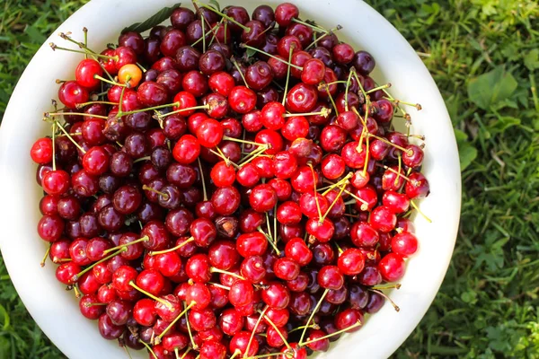 Ripe cherries with stalks. — Stock Photo, Image