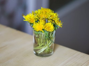 Glass.axacum officinale karahindiba (karahindiba officinale) çiçekler buket) çiçekler bir cam.