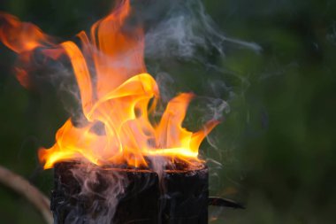 Parlak alev ateş etmek açık havada. Yanan ağaç kütüğü.