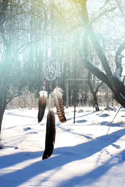 Dream Catcher Hanging Tree Branch Park Winter Nature Background — Stock Photo, Image