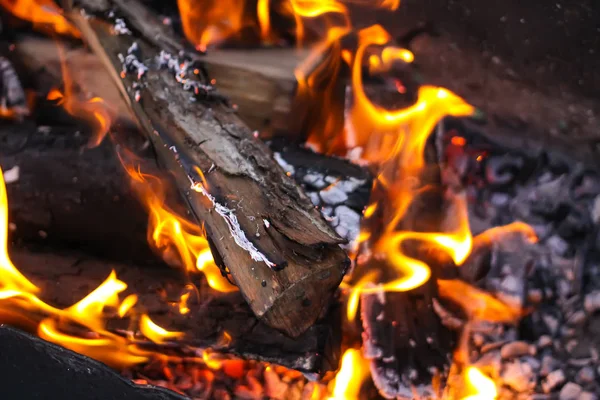 Barbeküde yemek pişirmeye hazırlanırken Brezilya 'da yanan parlak odun alevi..