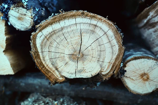 Firewood Background Chopped Firewood Stack — Stock Photo, Image