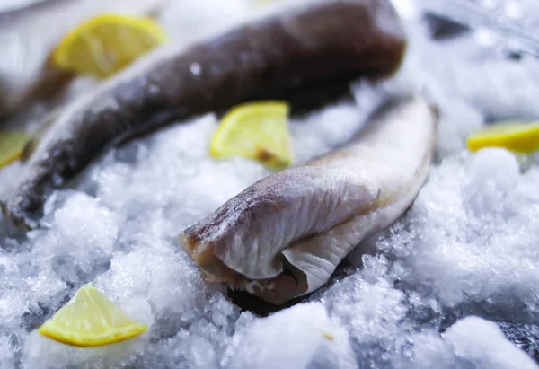 Ακατέργαστο Θαλασσινό Ψάρι Και Λεμόνι Τεμάχια Στην Επιφάνεια Του Πάγου — Φωτογραφία Αρχείου