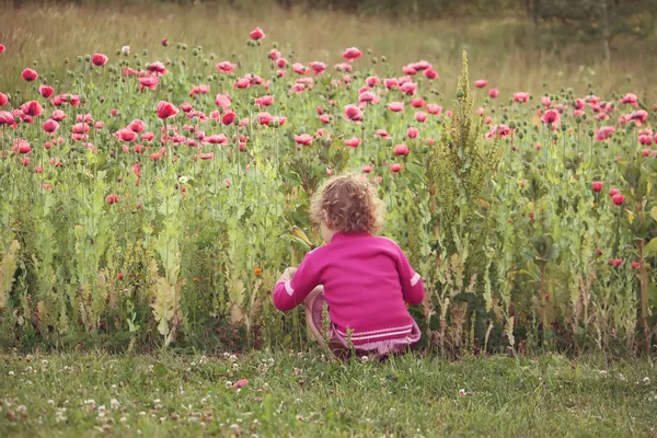 Ein Mädchen betrachtet die rosa Mohnblumen im Garten. — Stockfoto