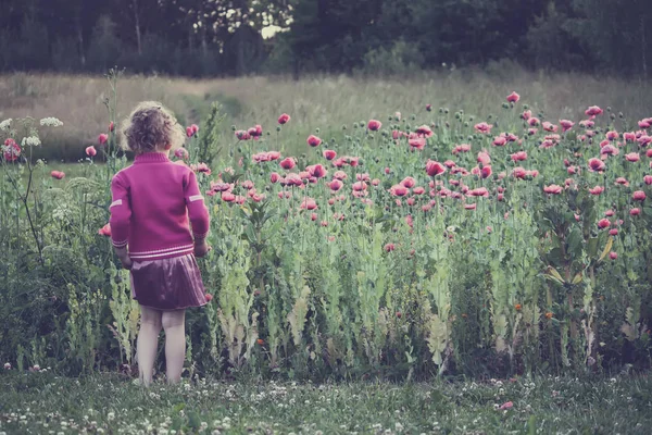 Una ragazza che guarda i fiori di papavero rosa in giardino . — Foto Stock
