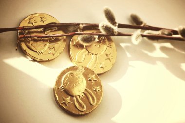 Kuku söğüdü dalları ve genç beyaz kedi derileri.