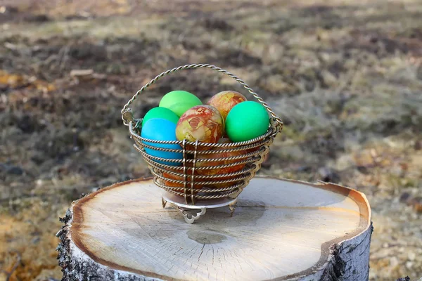 白桦树树桩上篮子里色彩艳丽的复活节彩蛋 — 图库照片