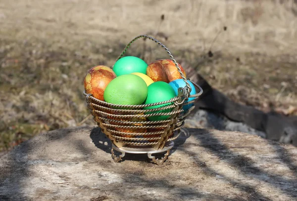 Яркие Красочные Пасхальные Яйца Корзине Пне Березы — стоковое фото