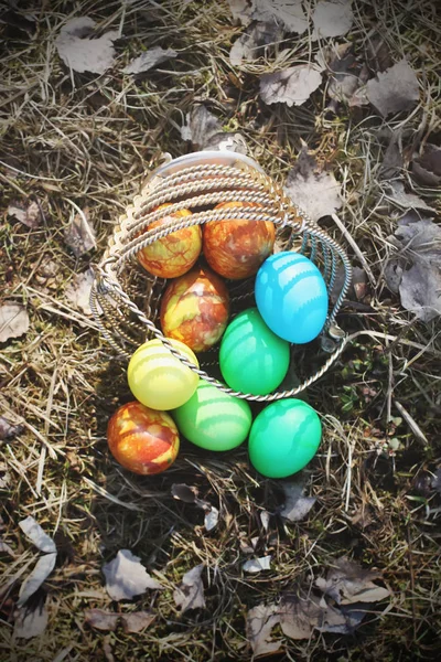 Oeufs Pâques Colorés Lumineux Dans Panier Sur Sol — Photo