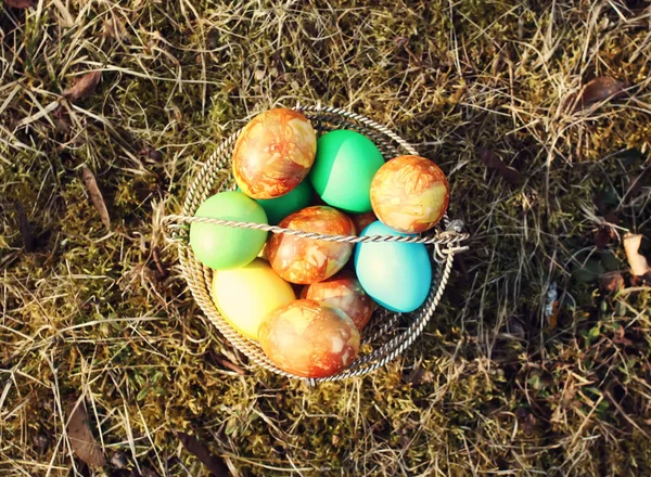 Яркие Красочные Пасхальные Яйца Корзине Земле — стоковое фото