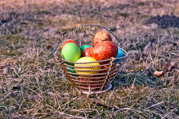 地上篮子里色彩艳丽的复活节彩蛋 — 图库照片