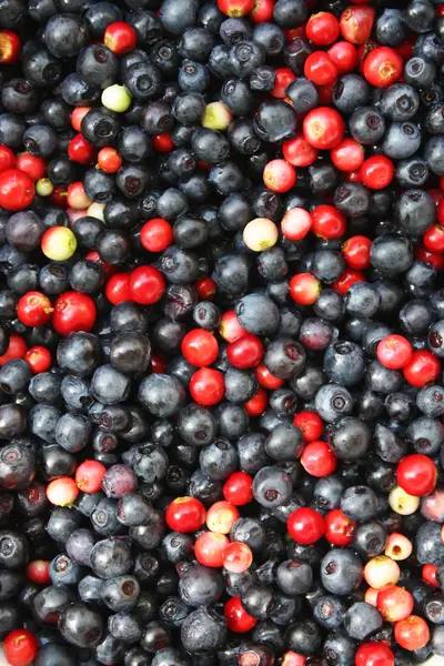 新鮮な熟した森林の果実とブルーベリーの背景 — ストック写真