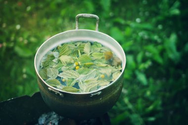 Ocaktaki eski tava bitkisel çay hazırlama sürecinde..