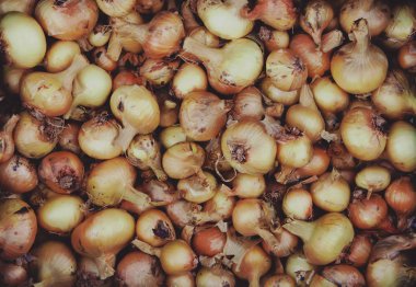 Dışarıdaki kutuda taze soğan.