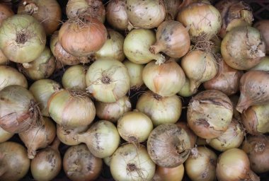 Dışarıdaki kutuda taze soğan.