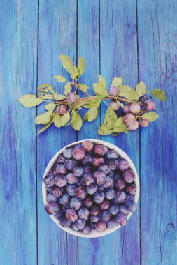 Ripe plums in a cup on a wooden blue aged background