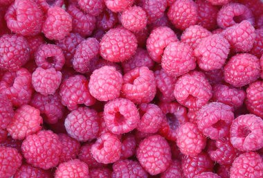 Taze taze organik ahududu.