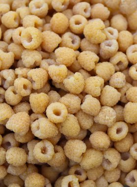 Taze taze organik ahududu.