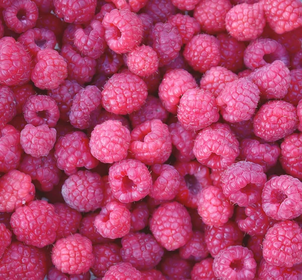 Fresh Ripe Raspberry Close — Stock Photo, Image