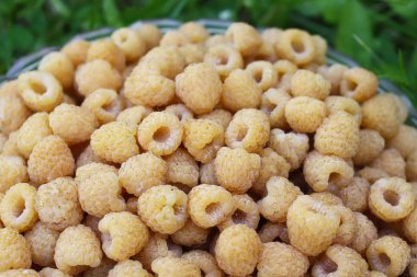 Taze taze organik ahududu.