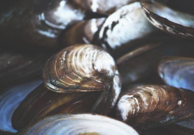 Dışarıdaki ahşap masada eski bir tavada midyeler.