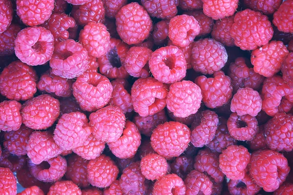 Framboise Fraîche Sucrée Mûre Savoureuse Close — Photo