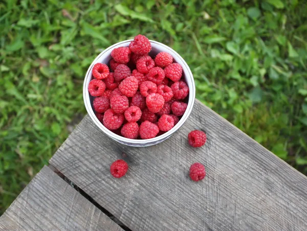 Frische Reife Bio Himbeeren — Stockfoto