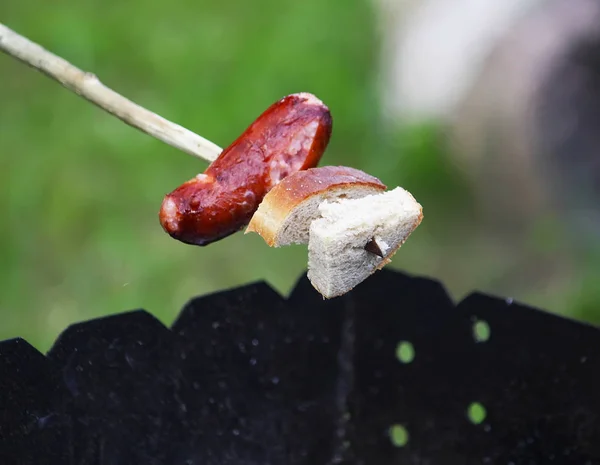 Korv Och Brödgrillning För Picknick Utomhus Över Fröet — Stockfoto