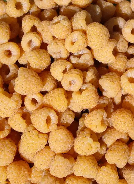 Taze olgun sarı ahududu yaz hasadı. Yaklaş.