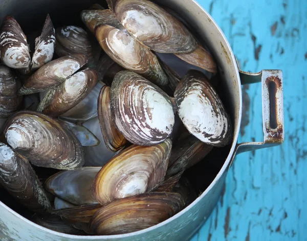 Mussels Old Pan Wooden Table Outdoors — 스톡 사진