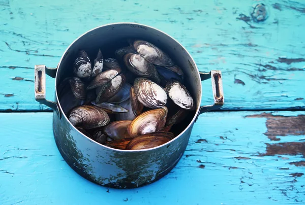 Mussels in an old pan — 스톡 사진