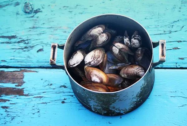 Mussels in an old pan — 스톡 사진