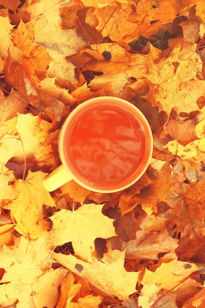 Herbstblätter und Tasse Tee. — Stockfoto