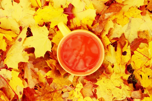 Herbstblätter und Tasse Tee. — Stockfoto