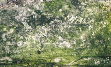 Taş ya da kaya gibi sert bir doku. Doğal arkaplan.