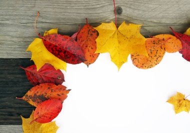Colorful frame of fallen bright autumn leaves with white sheet of paper on wooden background.