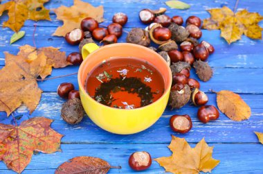 Yellow ceramic cup of herbal tea on aged wooden background with fall autumn leaves and chestnuts.