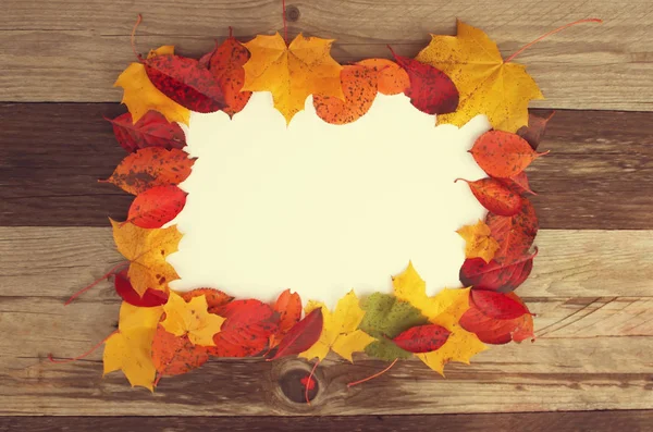 Bunte Rahmen Von Gefallenen Hellen Herbstblättern Mit Weißem Blatt Papier — Stockfoto