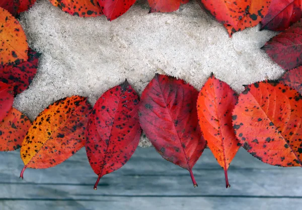 Colorful Frame Fallen Bright Autumn Leaves — 图库照片