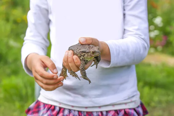 Kind Raakt Bruine Pad Aan Zomerpark — Stockfoto