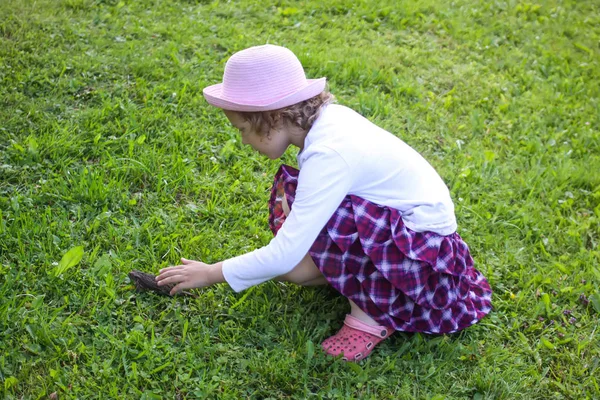 小さな好奇心の強い女の子タッチブラウンToad座っています上の緑の夏の草で野生自然 — ストック写真