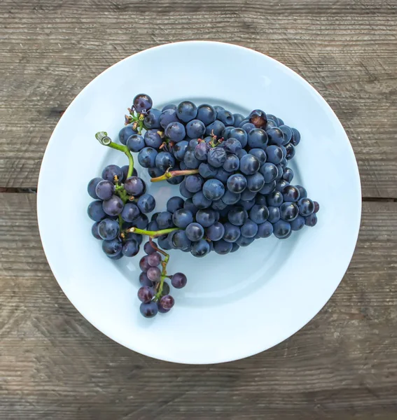 Blue wine grapes in white plate on wooden table outdoors. — 스톡 사진