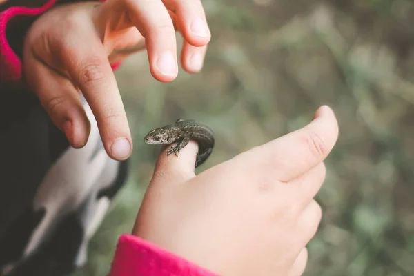 Little Lizard Girl Hand — 스톡 사진