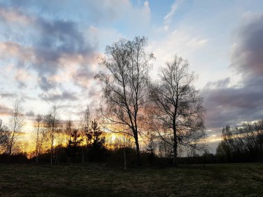 Güzel bulut manzarası. Parlak gökyüzü ve ormanla gün batımı manzarası.